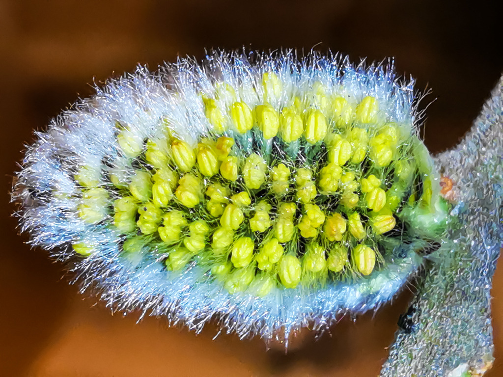 PSX_20230226_232017 | mtkfoto_ - Realisiert mit Pictrs.com