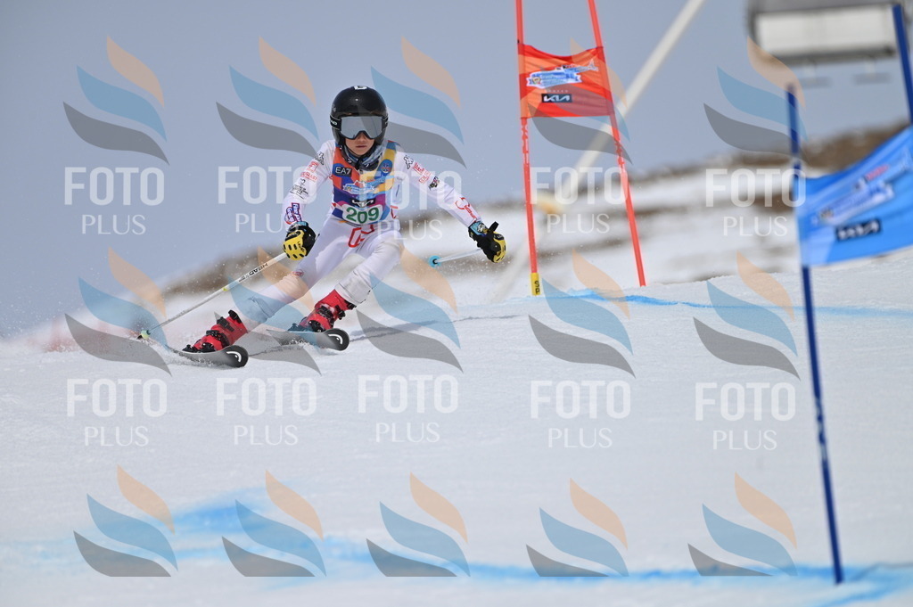 BGV_4032 | holidayphoto