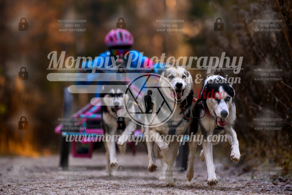 MompixPhotography_DM_AKDM_SO_2025_Wagen-58 | PayLife