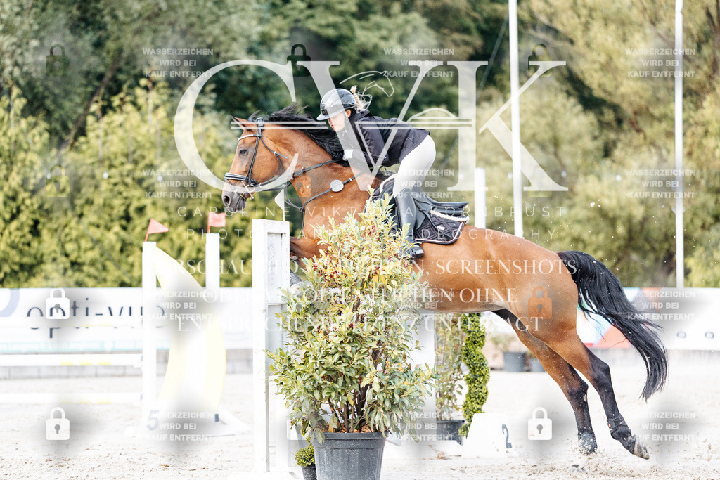 CK903907 | Turnierfotografie Pferdefotografie Trier Rheinland-Pfalz Pferdesport Reitsport Tierfotografie Sportfotografie Pferdevideo Pferdevideografie Equestrianvideography equestrianphotography  - Realisiert mit Pictrs.com