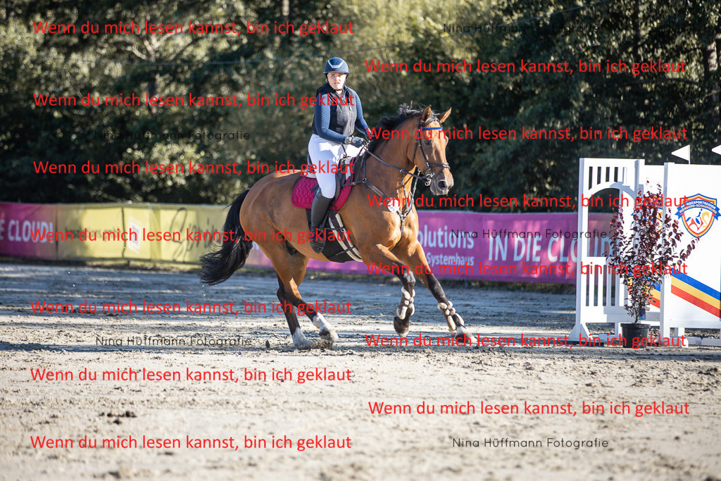 BK1A7679 | Turnierbilder Turnierfotos Nina Hüffmann Turnierfotografie Pferdefotografie Tierzeichnung Haustierzeichnung Pferdezeichnung Hundezeichnung Videograf  - Realisiert mit Pictrs.com