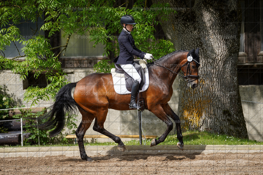 20240519-FAH04812 | Turnierbilder Niederseeon 2024, Vielseitigkeitsdressur, Reitsportbilder aus dem Landkreit Ebersberg, Gut Steinsee, RC Steinsee, Fotoagentur Herrmann