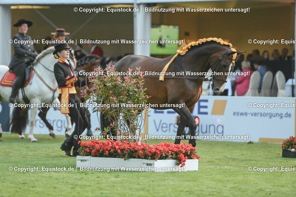 20230526_Pferdenacht_0768 | equistock