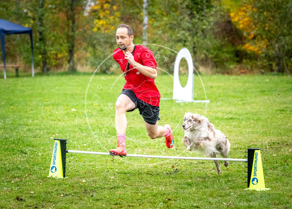 Pfotenfotografie_DV3A1358 | Hundefotografie, Tierfotograf, Pfotenfotografie, Fotoshooting Hund, Hunde Portrait, Hundesport, Hundeportraits, Heideshooting, Hunde, Sportfotograf, Hundefotograf, Turnierhundsport, THS,  - Realisiert mit Pictrs.com
