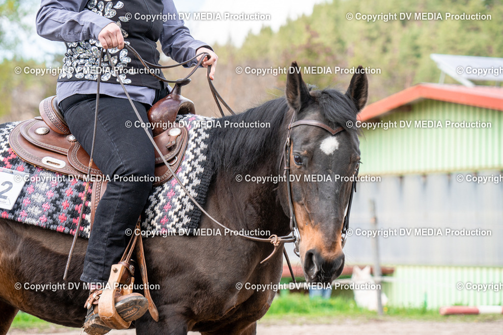 BAL02628 | dv-media-shop - Realisiert mit Pictrs.com