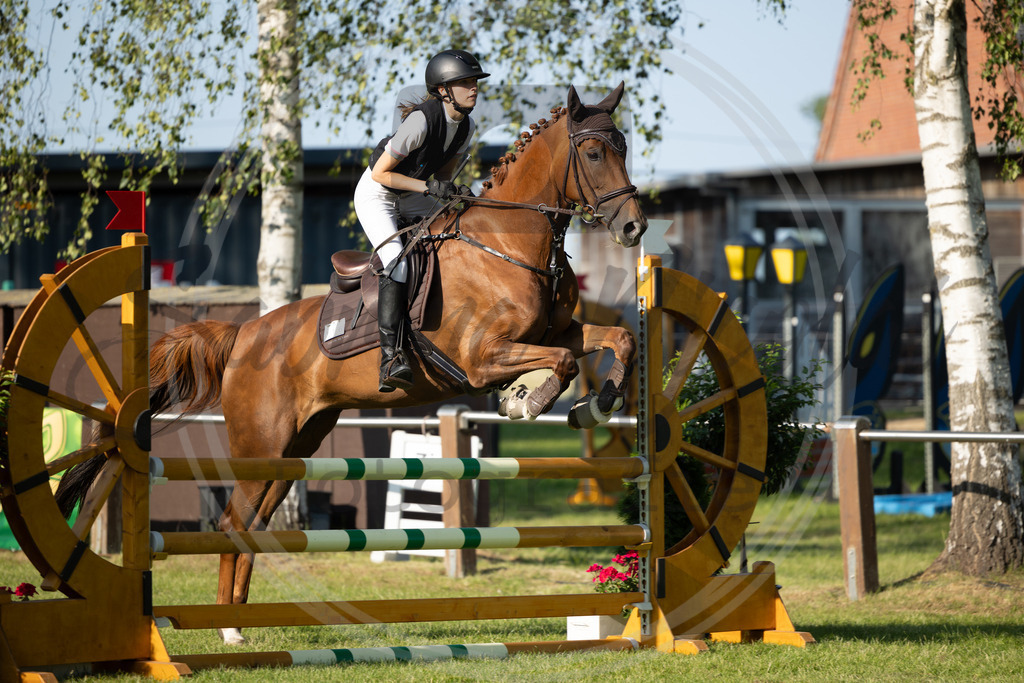 994A3488 | sabrinanicolaifotografie - Realisiert mit Pictrs.com