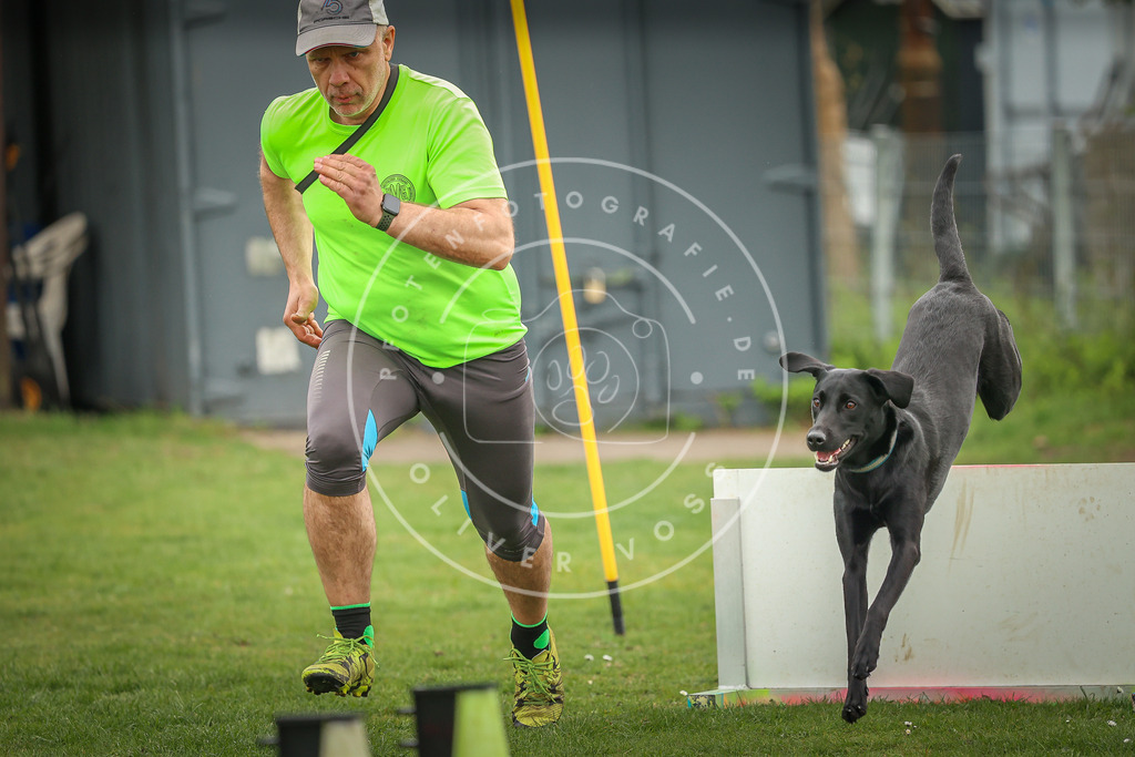 Pfotenfotografie_0L8A0946 | Hundefotografie, Tierfotograf, Pfotenfotografie, Fotoshooting Hund, Hunde Portrait, Hundesport, Hundeportraits, Heideshooting, Hunde, Sportfotograf, Hundefotograf, Turnierhundsport, THS,  - Realisiert mit Pictrs.com
