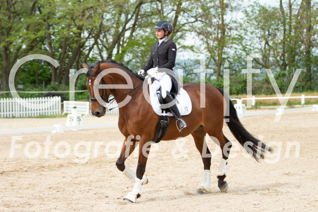 IMG_1265 | Creatify Fotografie