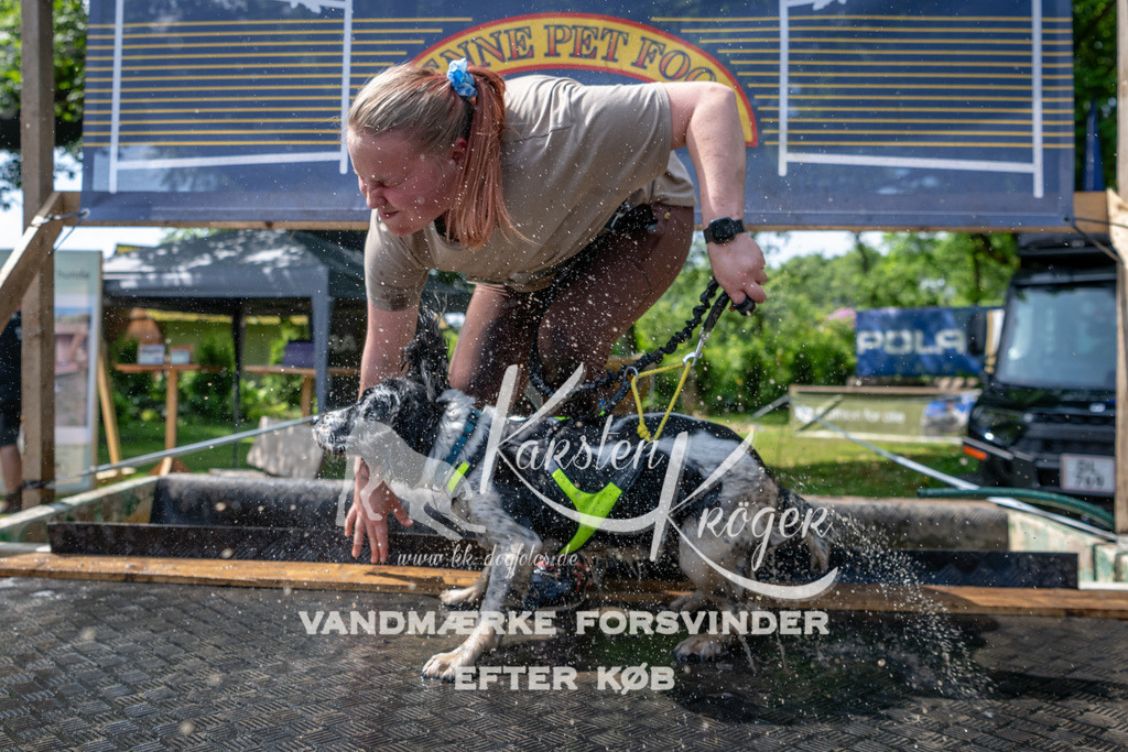 1200_ZZ90141 | kk-dogfotos