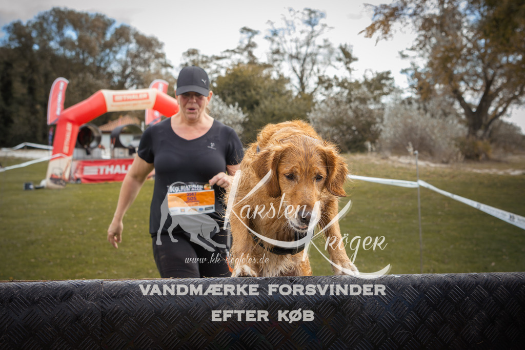 1333_ZZ91318-2 | kk-dogfotos
