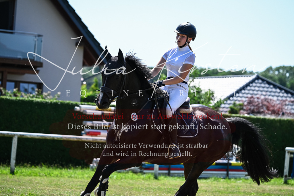 DSC_1018 | Pferde- und Turnierfotografie in Westsachsen. Pferdeportraits, Auftragszeichnungen und intuitive Kunst.