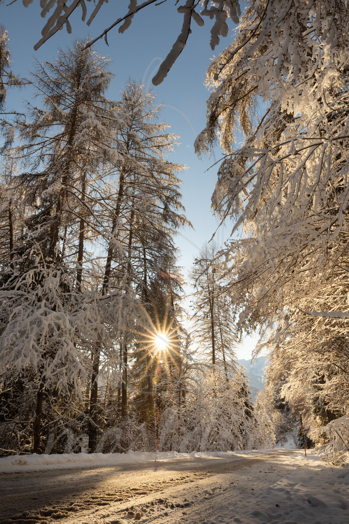Wintersonne Lunggau | Bei Veröffentlichung des Bildes ist eine Namensnennung wie folgt erforderlich: 
Foto: Mostdirn Irmgard Wieser - Realisiert mit Pictrs.com