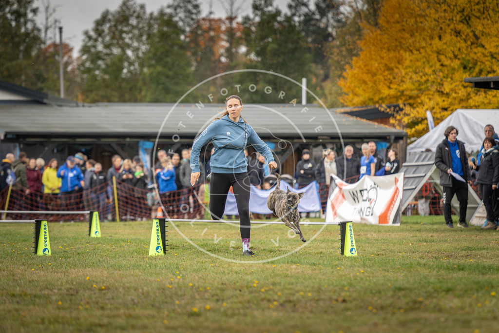 Pfotenfotografie_DV3A2916 | Hundefotografie, Tierfotograf, Pfotenfotografie, Fotoshooting Hund, Hunde Portrait, Hundesport, Hundeportraits, Heideshooting, Hunde, Sportfotograf, Hundefotograf, Turnierhundsport, THS,  - Realisiert mit Pictrs.com