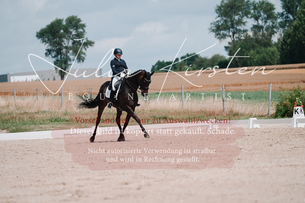 DSC_4288 | Pferde- und Turnierfotografie in Westsachsen. Pferdeportraits, Auftragszeichnungen und intuitive Kunst.
