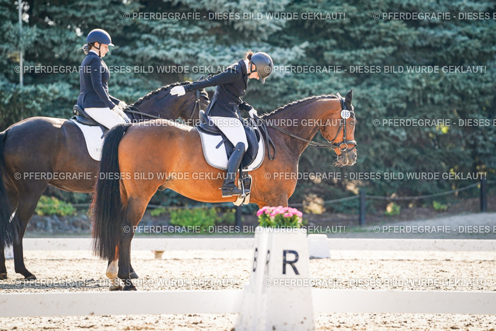 DSC09607 | Pferdegrafie