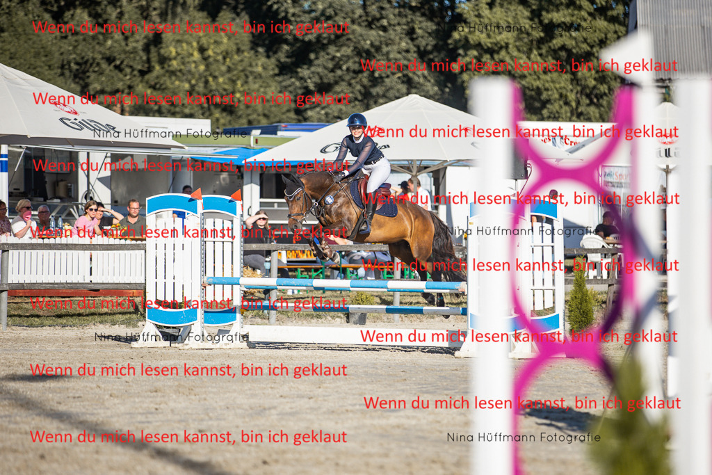 BK1A7830 | Turnierbilder Turnierfotos Nina Hüffmann Turnierfotografie Pferdefotografie Tierzeichnung Haustierzeichnung Pferdezeichnung Hundezeichnung Videograf  - Realisiert mit Pictrs.com