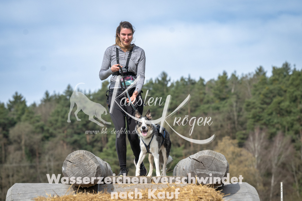 1047_ZZ93734 | kk-dogfotos