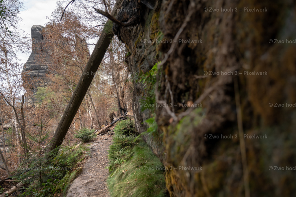 Obere_Affensteinpromenade_Nahe_Siegfried_Bergfried_Bergfriednadel | 2022-09-02_Waldbrandgebiete_2 - Realisiert mit Pictrs.com