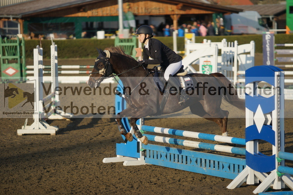 DSC01916 | equestrian-live-com