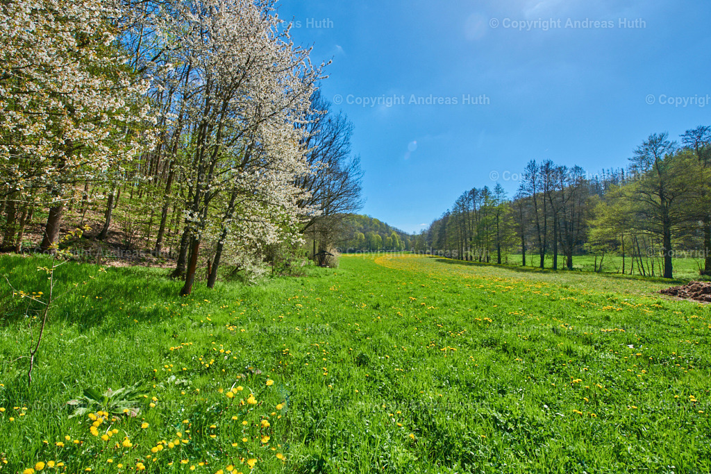 Im Triebischtal bei Neutanneberg 03 | Bedeutsame Landschaften Deutschlands - Realisiert mit Pictrs.com