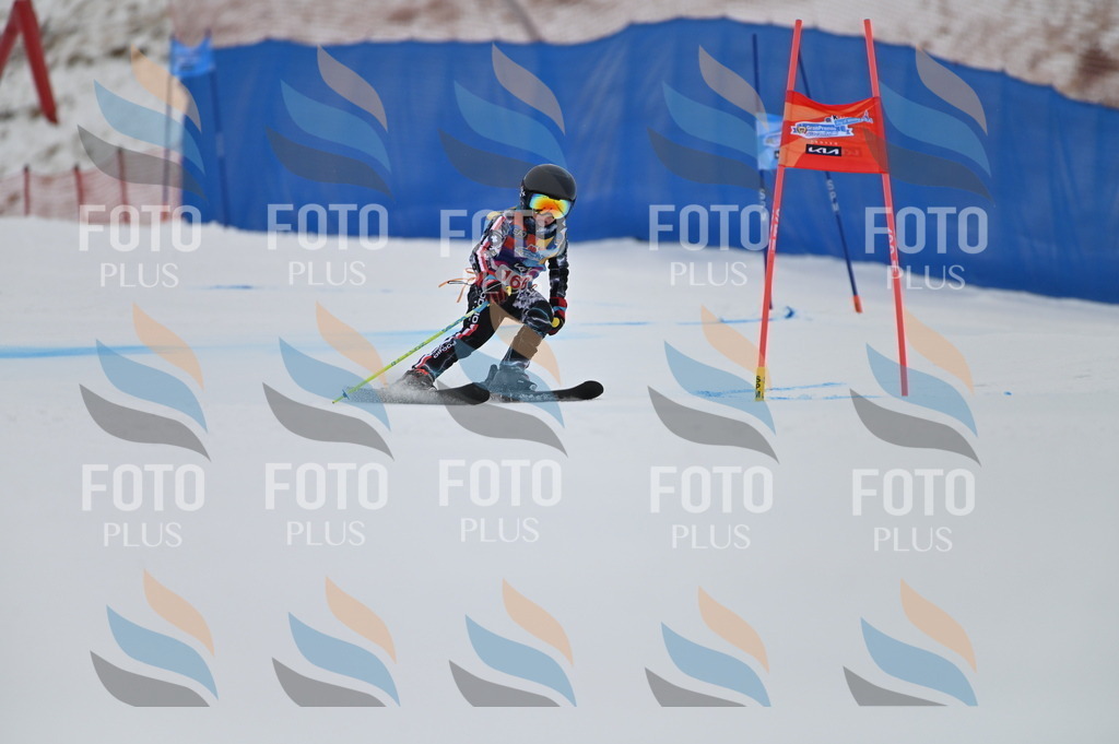 BGV_0358 | holidayphoto