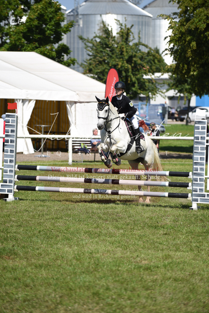 DSC_9479 | Pferde- und Turnierfotografie in Westsachsen. Pferdeportraits, Auftragszeichnungen und intuitive Kunst.