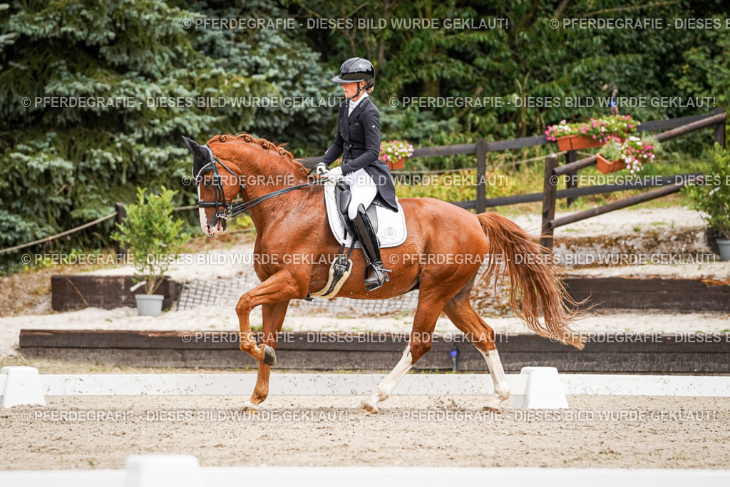 DSC05655 | Pferdegrafie