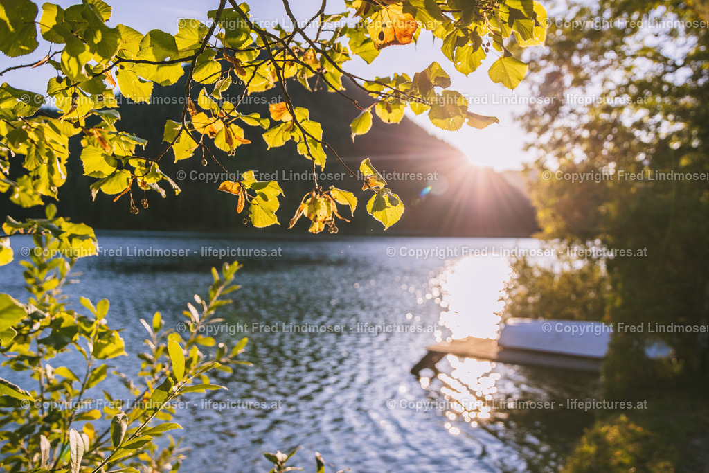 Mariazell Herbst Ende September 2019-9928 | Fotos und Fotoprodukte - Realisiert mit Pictrs.com