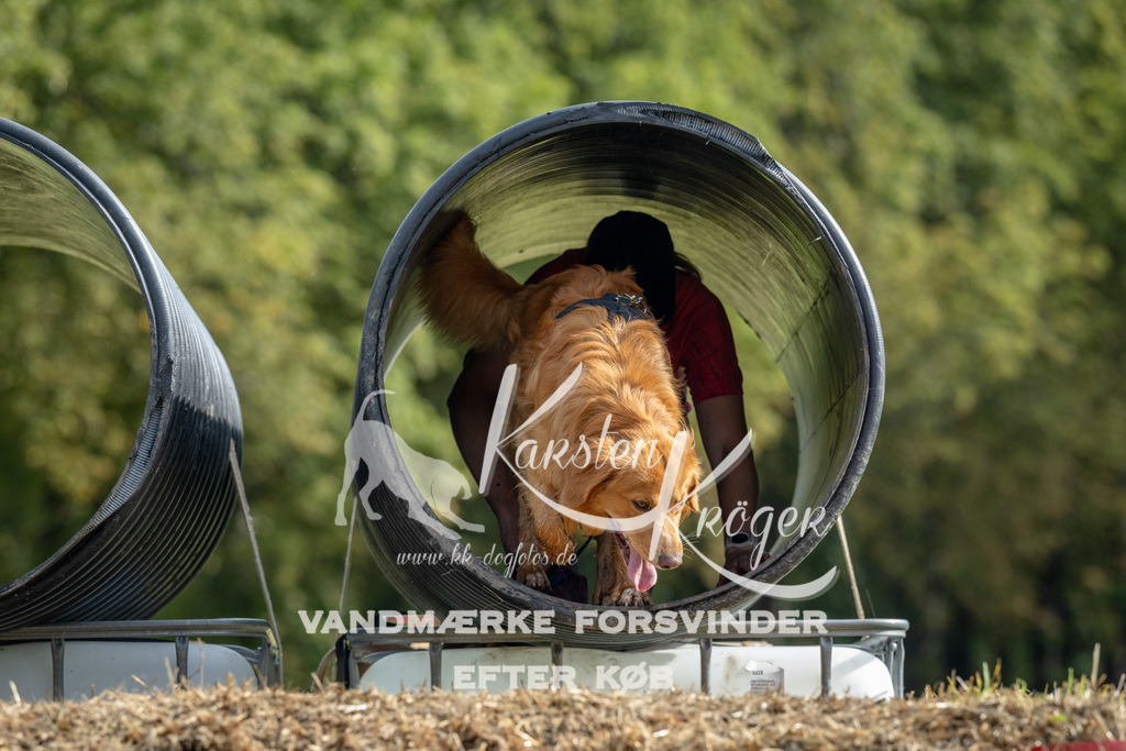 1040_ZZ92812 | kk-dogfotos