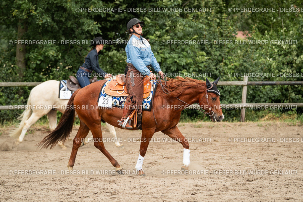 DSC03421 | Pferdegrafie