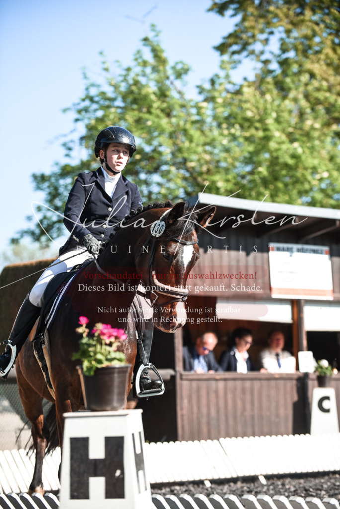 DSC_8276 | Pferde- und Turnierfotografie in Westsachsen. Pferdeportraits, Auftragszeichnungen und intuitive Kunst.