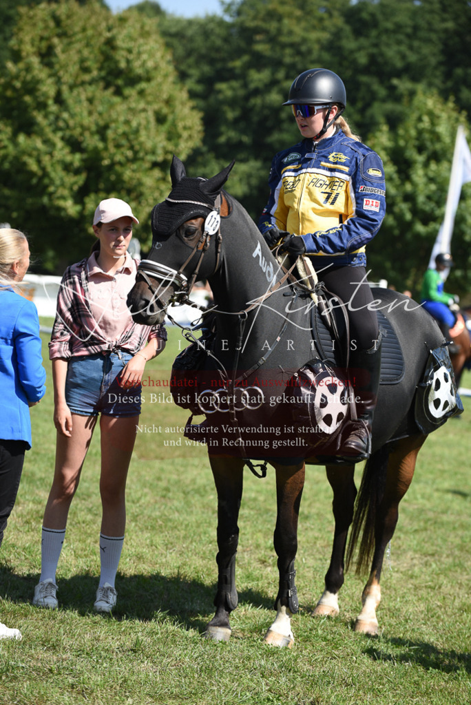 DSC_0466 | Pferde- und Turnierfotografie in Westsachsen. Pferdeportraits, Auftragszeichnungen und intuitive Kunst.