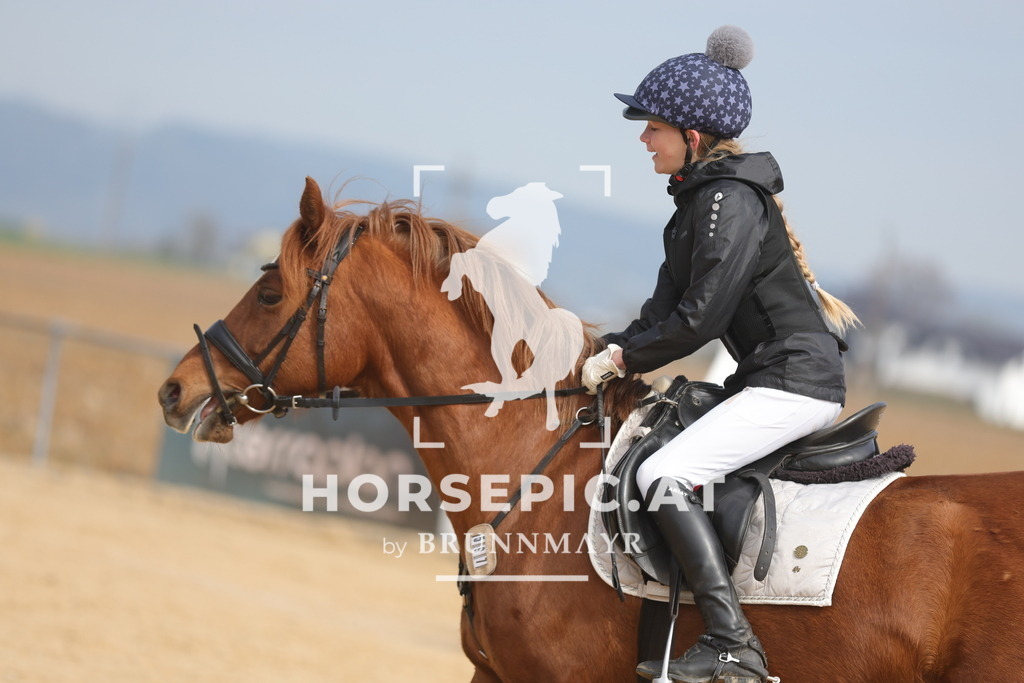 0P6A9246 | Willkommen bei Brunnmayr - Design & Fotografie – Ihrem Spezialisten für Reitturniere und Pferdeveranstaltungen in Oberösterreich, Salzburg und Bayern! Seit über 17 Jahren sind wir leidenschaftlich dabei.