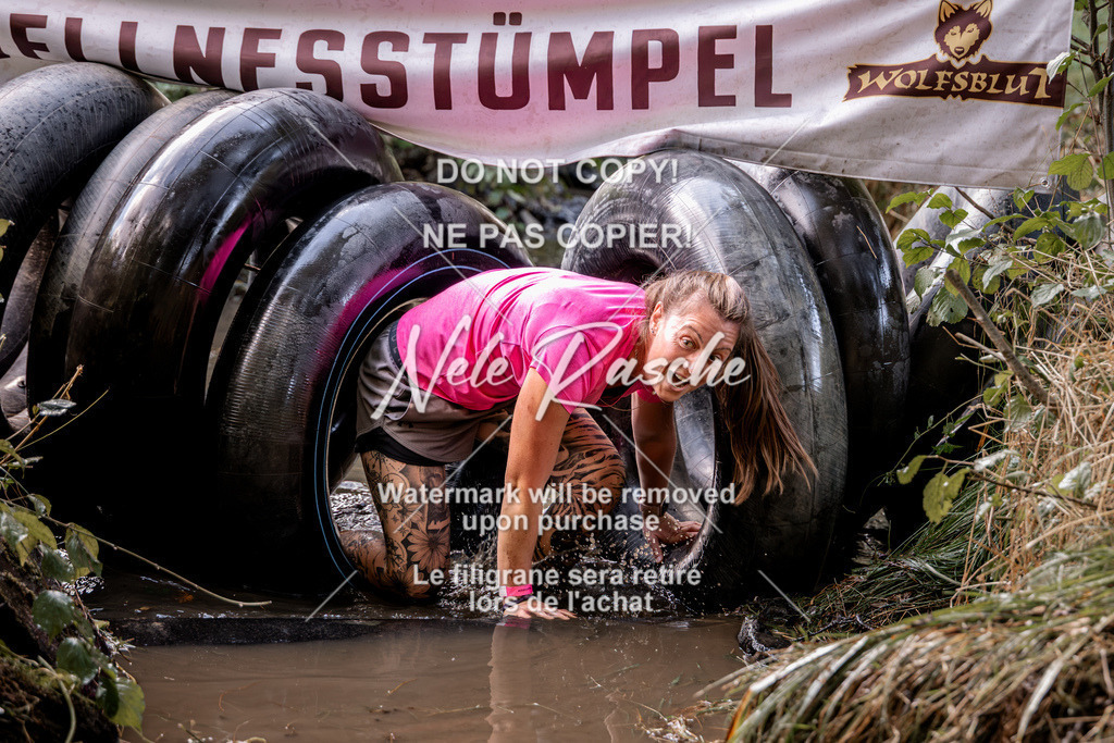 nelerasche_Hunsrück2026_Sa1400-1500_136 | nelerasche