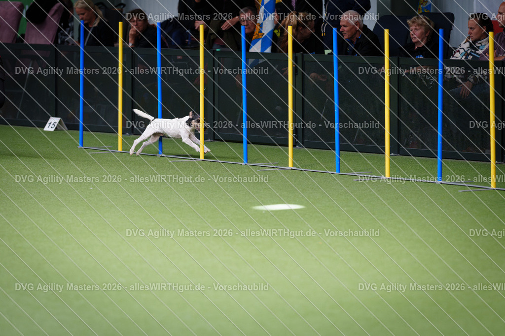 allesWIRTHgut_Tierfotografie-DVG_Agility_Masters_2026-11_10-7R505035 | Professionelle Tierfotografie in Mönchengladbach von Daniel Wirth (allesWIRTHgut). Liebevolle & natürliche Bilder von Hunden & Katzen für unvergessliche Erinnerungen.