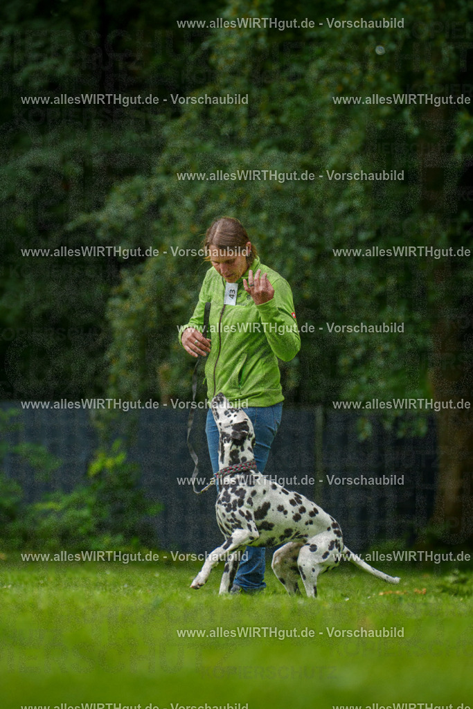 @allesWIRTHgut_Tierfotografie - www.allesWIRTHgut.de - 135052-7R500061 | Professionelle Tierfotografie in Mönchengladbach von Daniel Wirth (allesWIRTHgut). Liebevolle & natürliche Bilder von Hunden & Katzen für unvergessliche Erinnerungen.