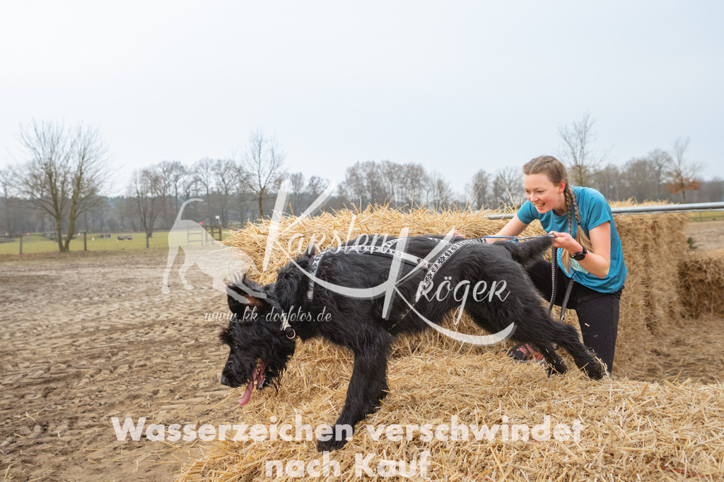 0817_ZZ92391 | kk-dogfotos