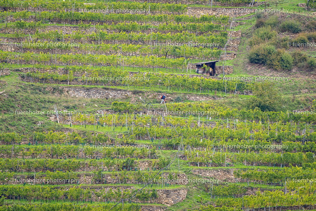 fuernholzer_251004-C3-337 | © Christian Fuernholzer | fuernholzer photography