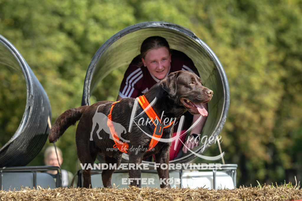 1305_ZZ91975 | kk-dogfotos