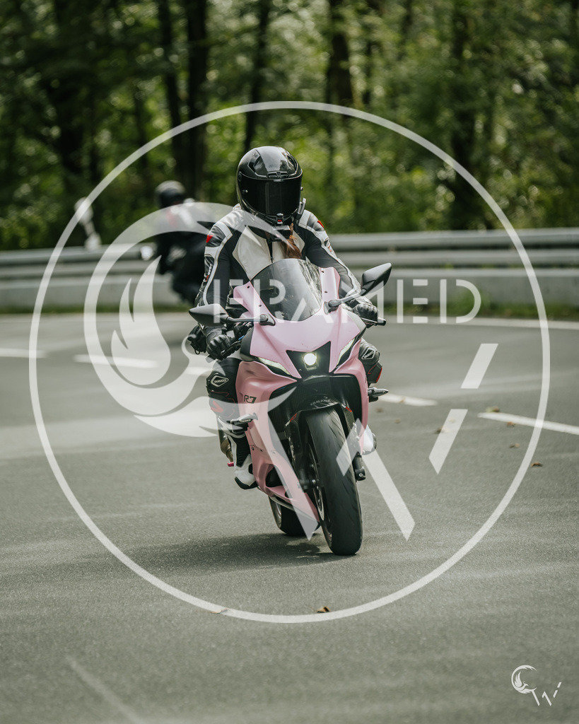 R7 rose-2 | cw-framed