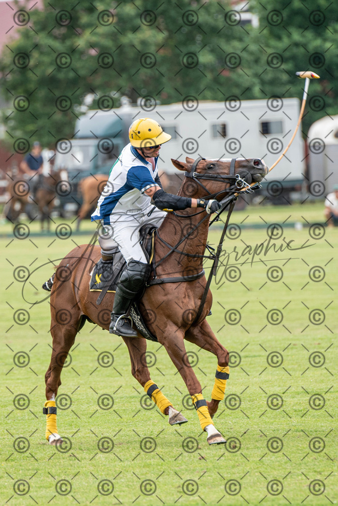 POL_3898-2 | andre_photographic