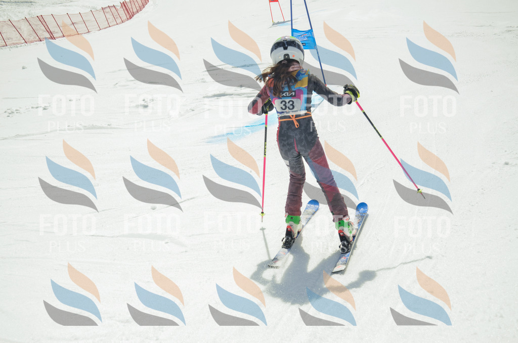 _ELE4923 | holidayphoto