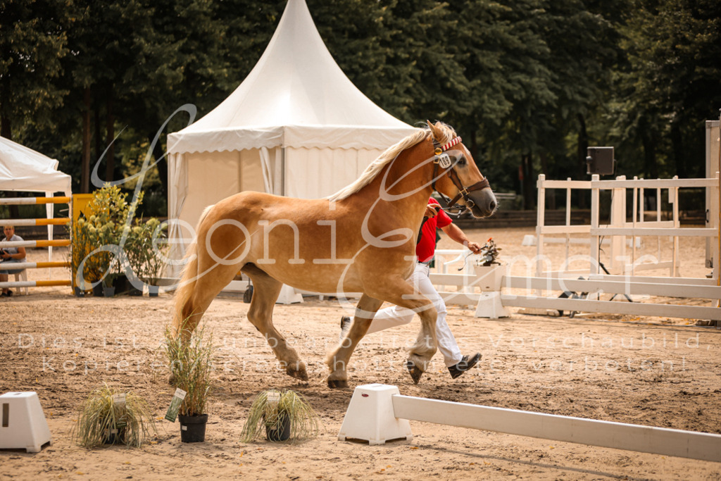 3.Sa00040 | Leoni Ertmer Photography - Realisiert mit Pictrs.com