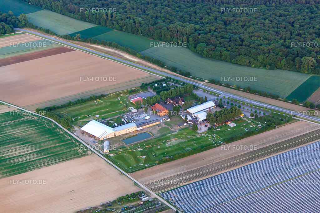 Fussballgolfpark Südpfalz auf dem Adamshof Kandel http://www.fussballgolfpark-suedpfalz.de/ http://www.kandel-adamshof.de/ | Luftbild: Fussballgolfpark Südpfalz auf dem Adamshof Kandel http://www.fussballgolfpark-suedpfalz.de/ http://www.kandel-adamshof.de/ in Kandel im Bundesland Rheinland-Pfalz in Deutschland. Foto: IMG_66498.jpg vom 30.05.2014 durch Werner Riehm/FLY-FOTO.de - Realisiert mit Pictrs.com