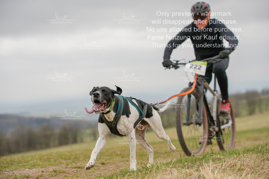 BikeSA-151 | stephaniefillaphotographie - Realisiert mit Pictrs.com