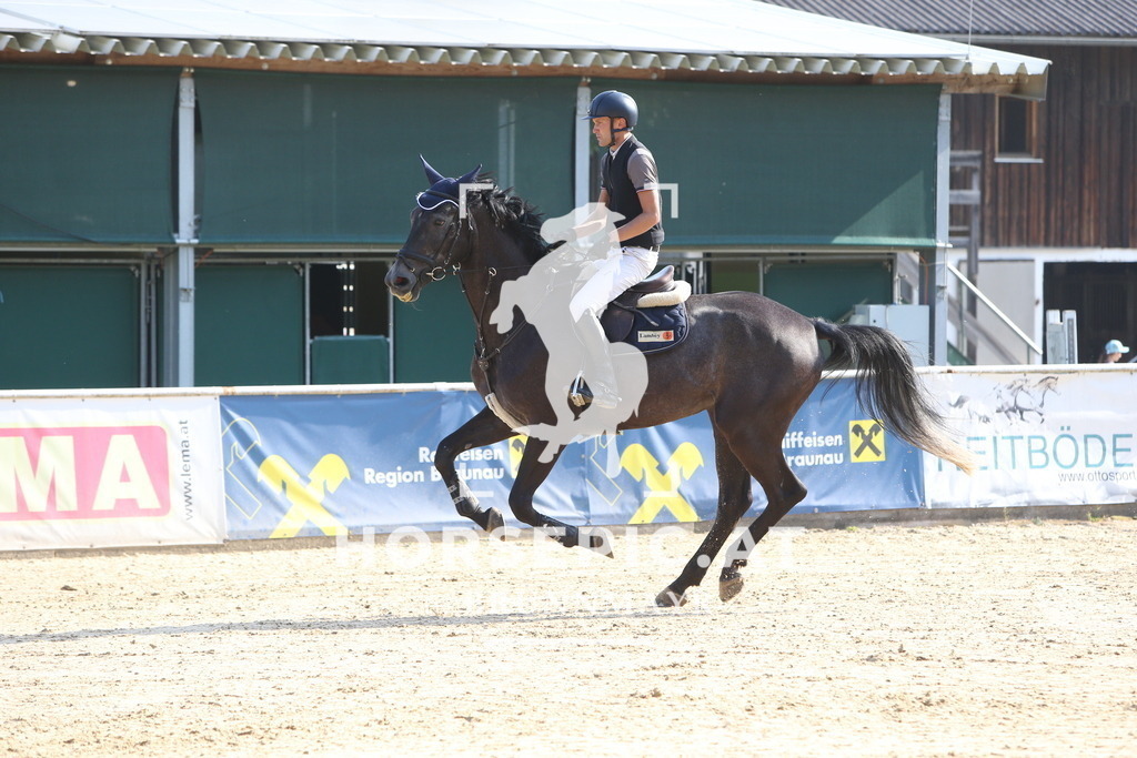 DL2Q0107 | Willkommen bei Brunnmayr - Design & Fotografie – Ihrem Spezialisten für Reitturniere und Pferdeveranstaltungen in Oberösterreich, Salzburg und Bayern! Seit über 17 Jahren sind wir leidenschaftlich dabei.