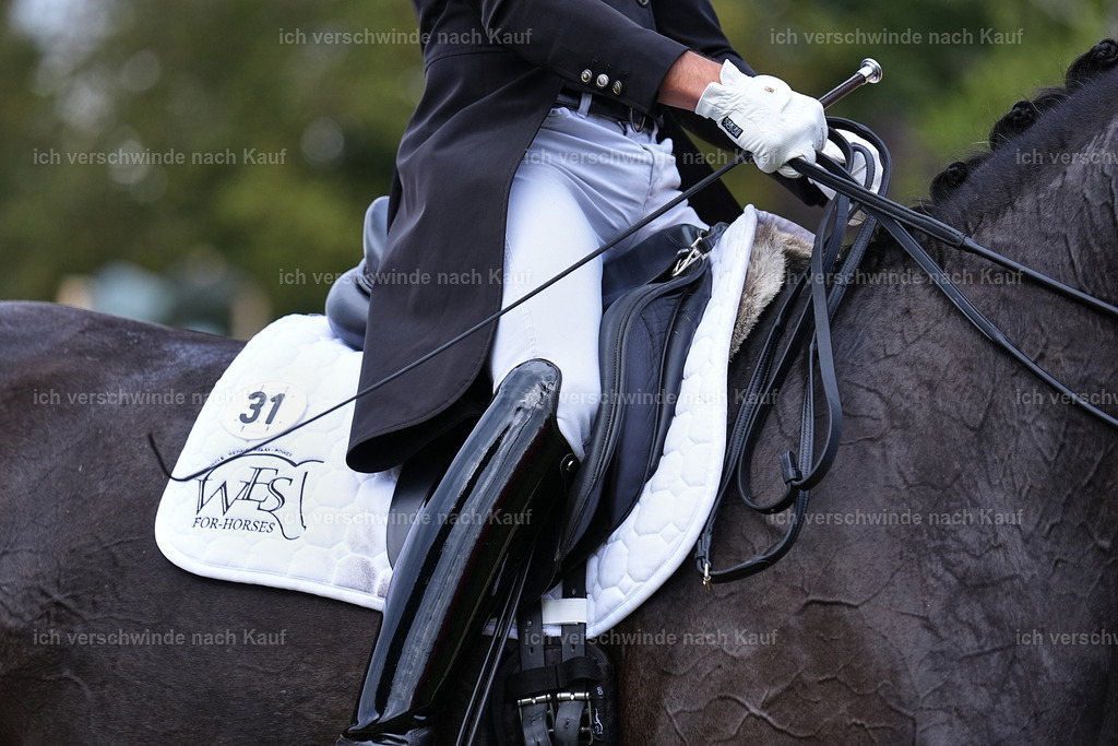 12-031-DRESSUR  S___  -Marixx-5224 | working equitationturnier fotograf videograf stoibphotography marixx film working equitation deutschland reitsport turnierfotografie eventfotografie equestrian events