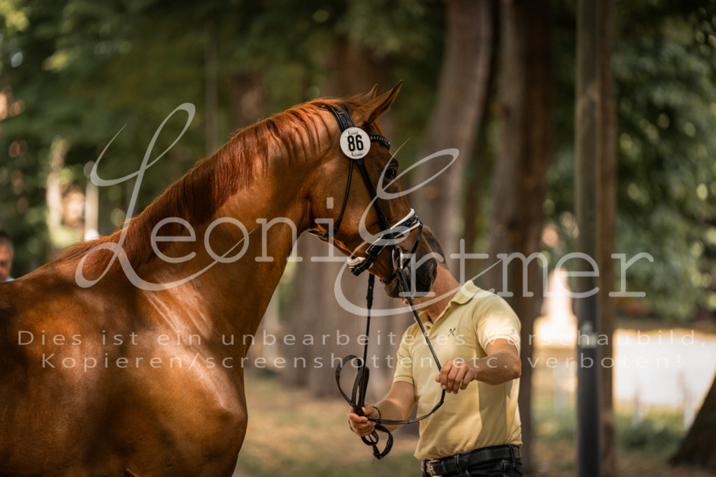 FrPfM00210 | Leoni Ertmer Photography - Realisiert mit Pictrs.com