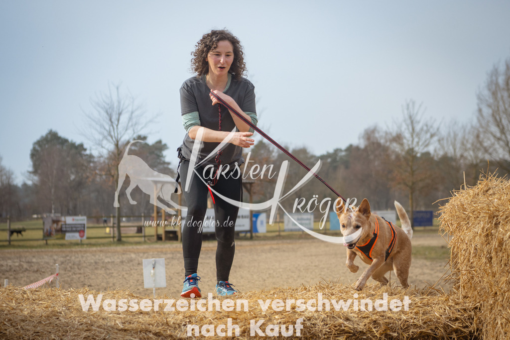 1022_ZZ94573 | kk-dogfotos