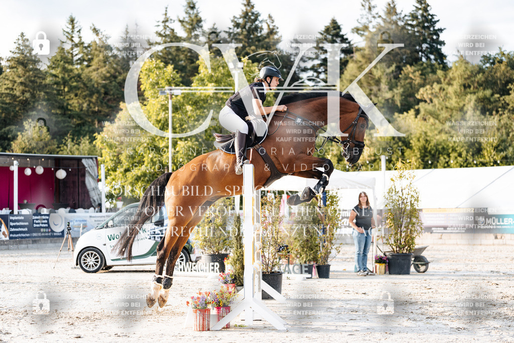 CK903481 | Turnierfotografie Pferdefotografie Trier Rheinland-Pfalz Pferdesport Reitsport Tierfotografie Sportfotografie Pferdevideo Pferdevideografie Equestrianvideography equestrianphotography  - Realisiert mit Pictrs.com